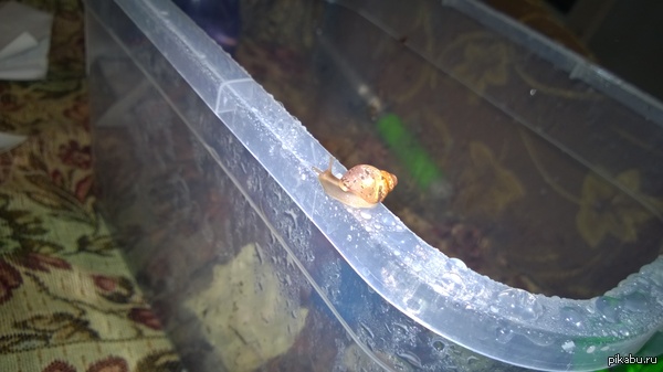 � ��� ��� ������� :)