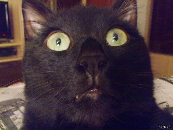 ��� �������, ��� �� ����� ��� - �� ������?