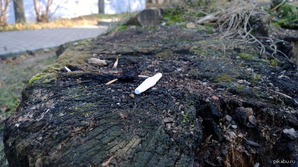 � ������ ������� ��� �����