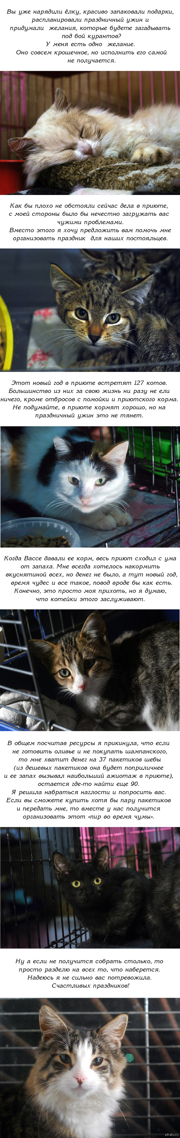 Праздника заслуживают все