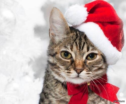 ���, � ��