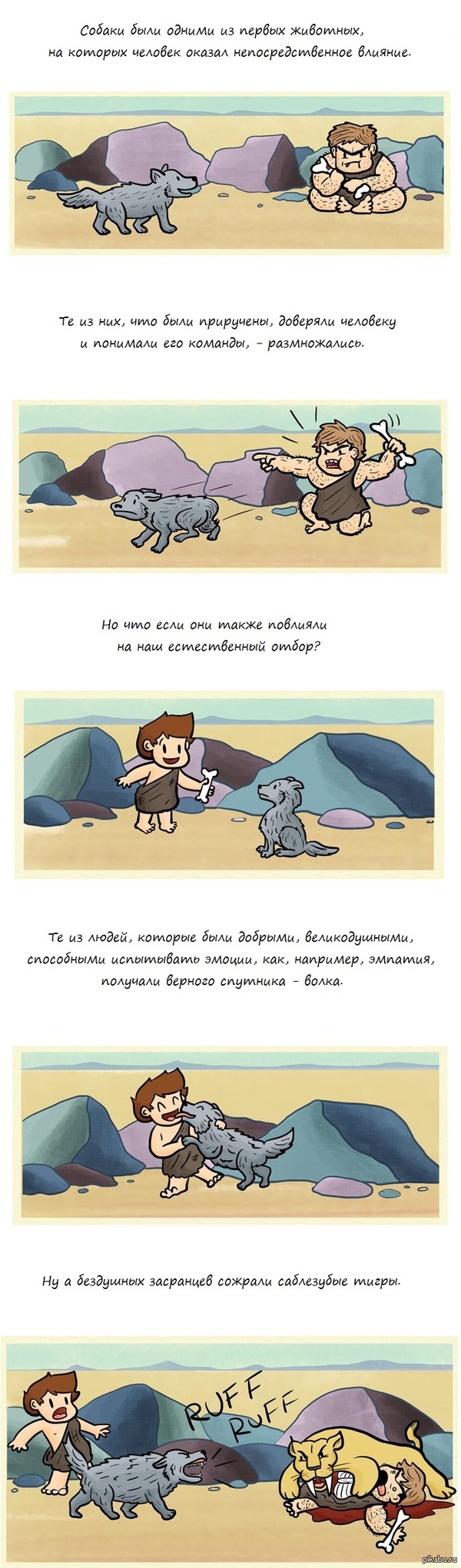 Про собак и котиков