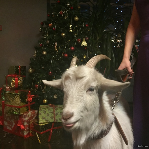     &amp;#127876;&amp;#127876;&amp;#127876;