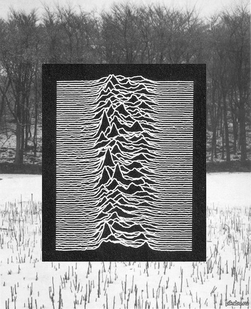 Joy division рисунок