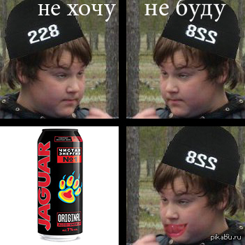 228 ��� �����