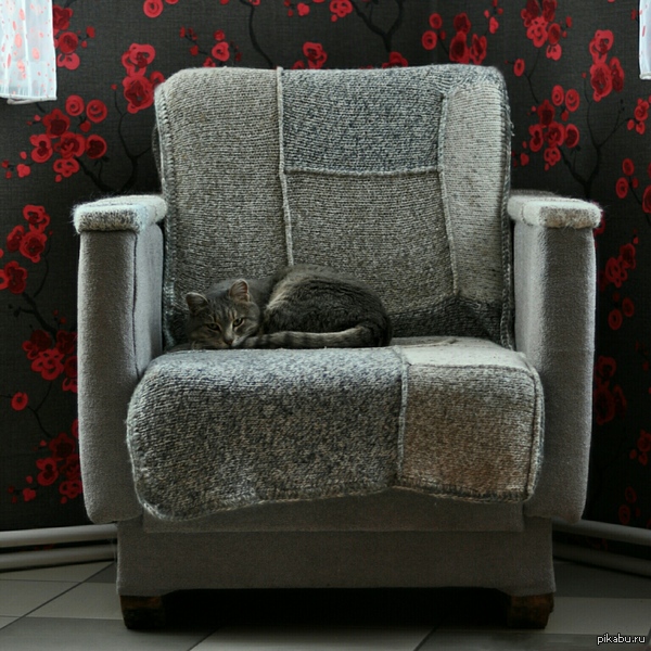 Ленивая кошечка:/