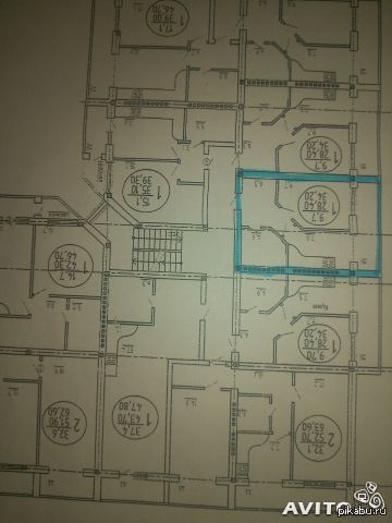 ������� ���� ����������