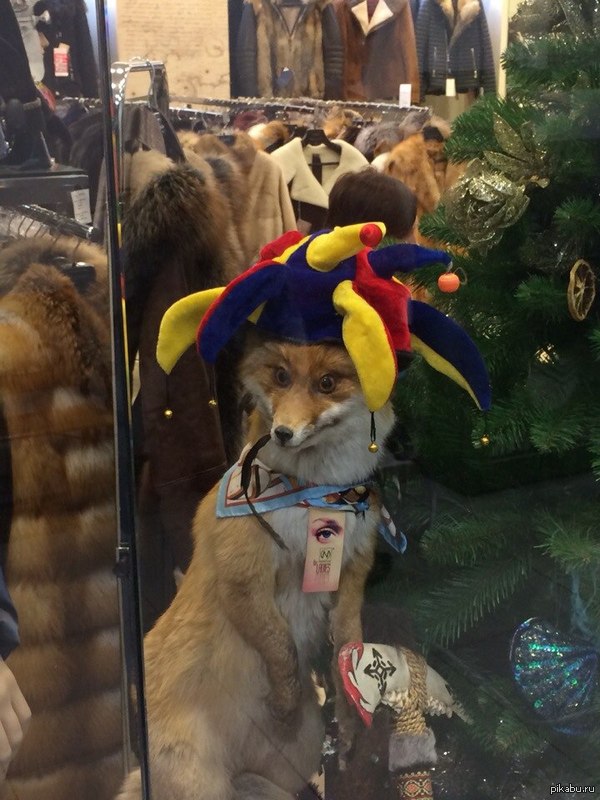 ���������� ���, �� �� ���?