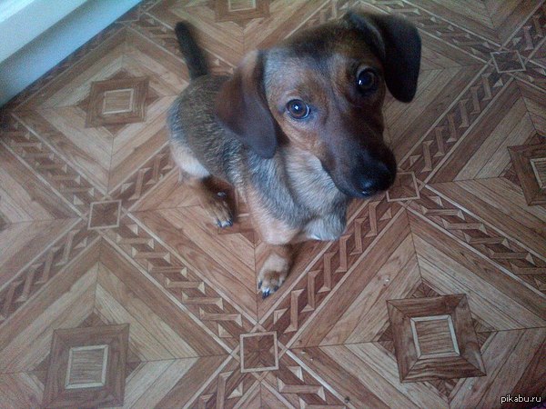 Лига добра из Киева, призываю Вас к помощи!