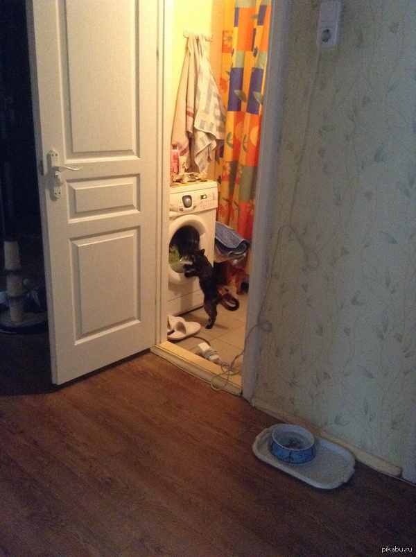 ������� ���������