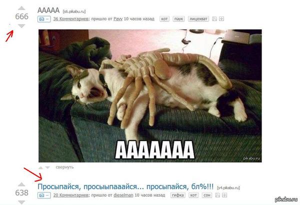 ���������� ������