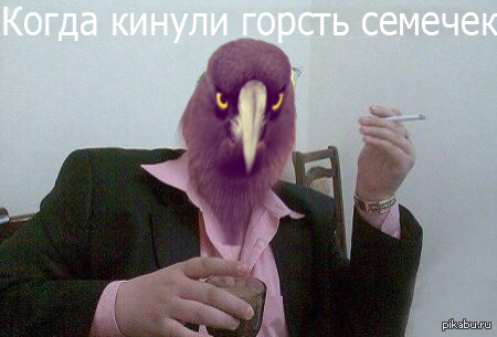 ����� ������ ������ �������