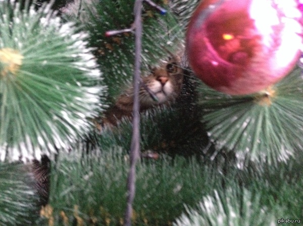 Миссия провалена.