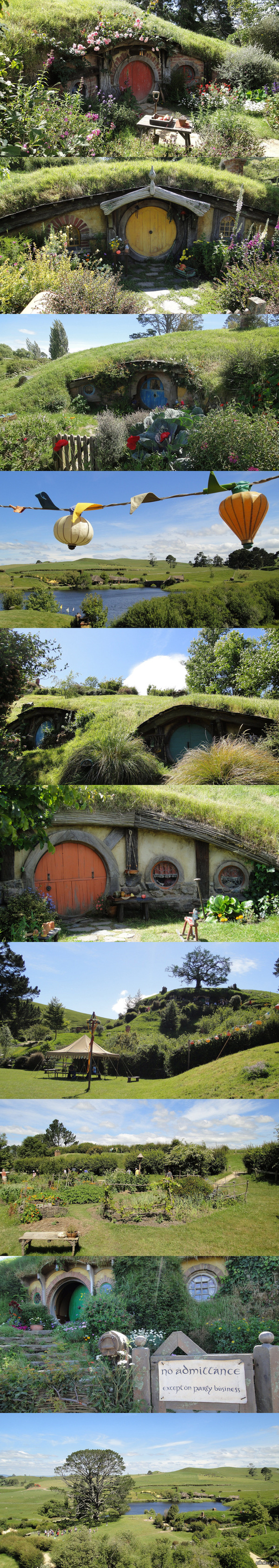 ��������� ��������� ��������(����� ��������, ��������)