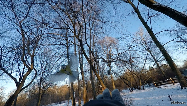 ����� � �������