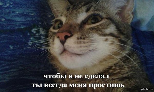 Воистину так! =)