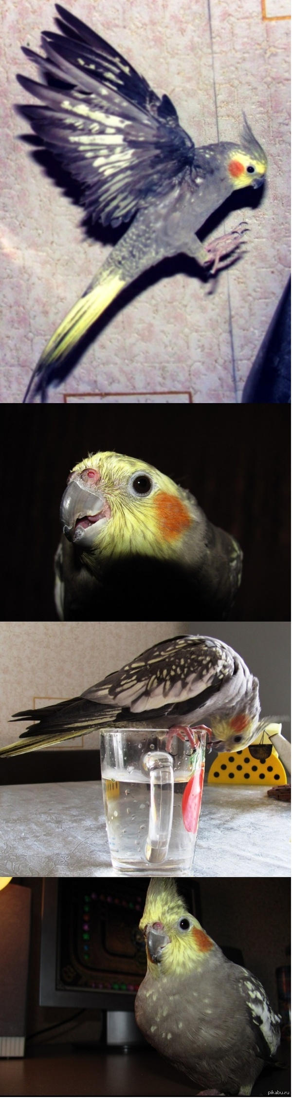 � ��� ��� �������..))