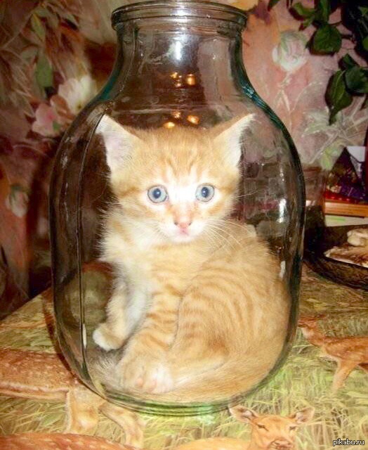 ��� ������ ����� � �����