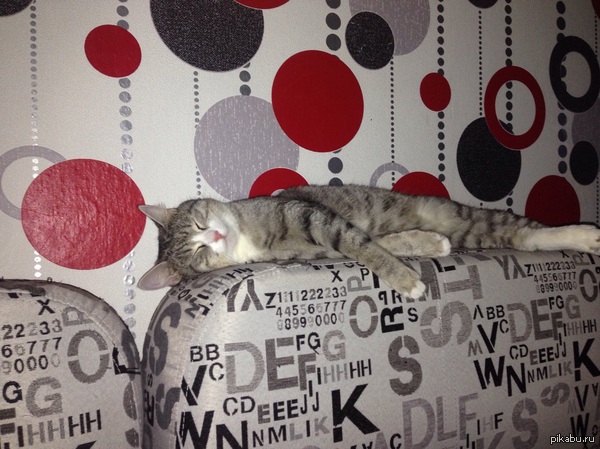 ��������, ��������� � ����!