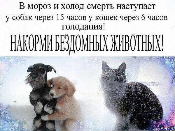 �� ����������� ������������!