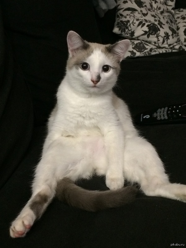...     ,        .       ,     :)