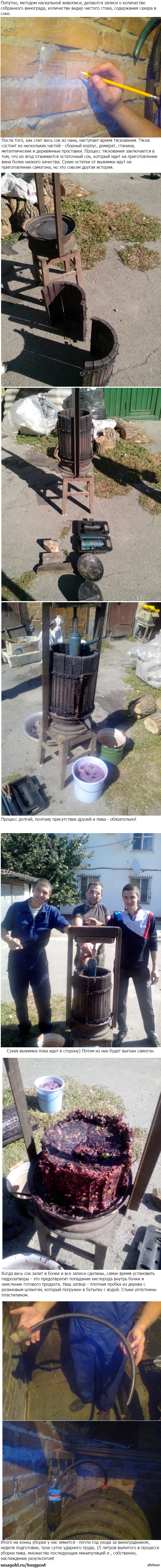 Уборка урожая 3