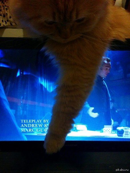 ����� ���������� ������...