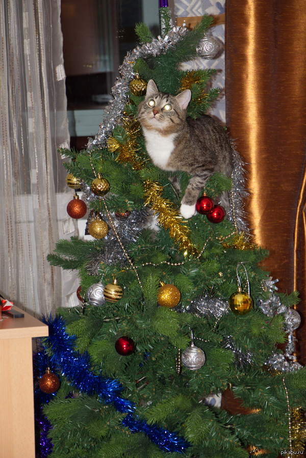 Капец праздникам