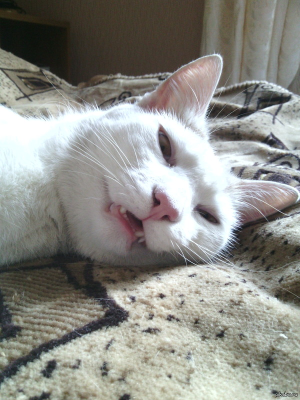 ��� ���� ������ ����...