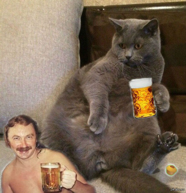 ������ �� ������!