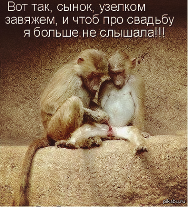 ������ ���������...