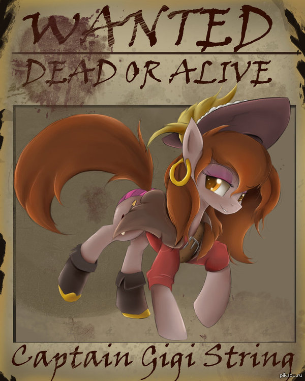 Разыскивается!