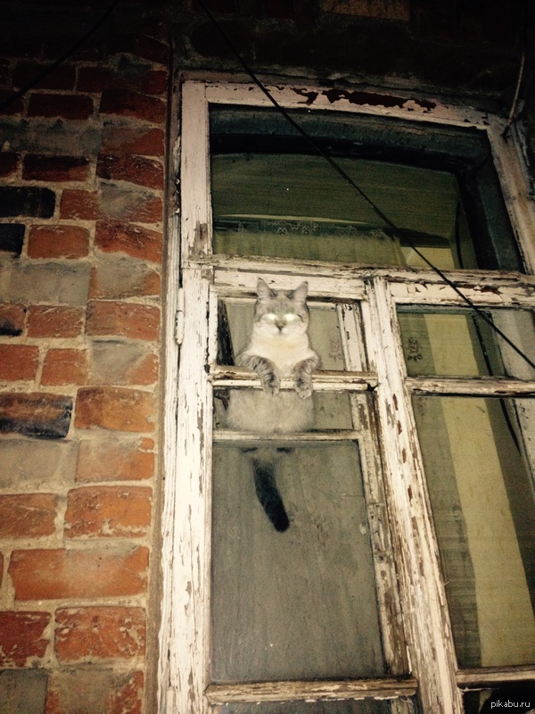 ������ ��� ^^