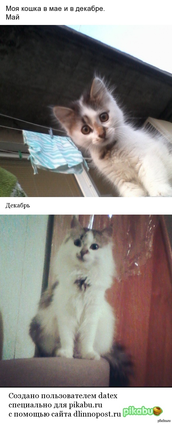 ��� ���� �� ���� ������ ������.