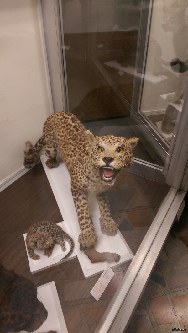 ��������� ������ �����������