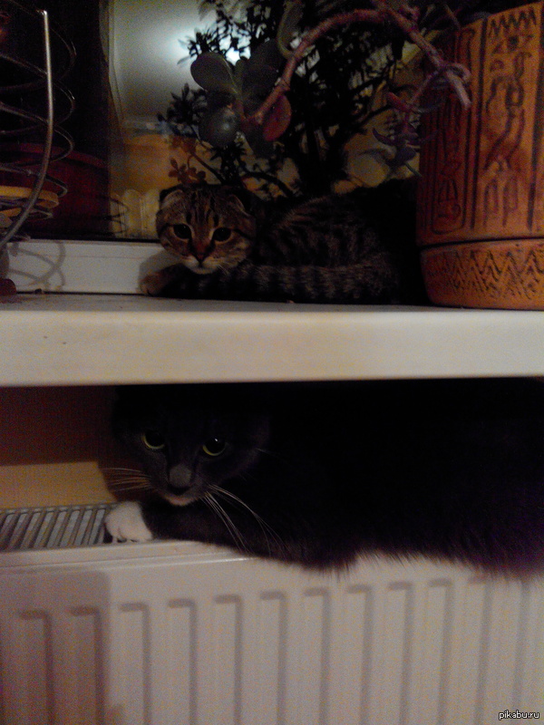 5 ����� ���������