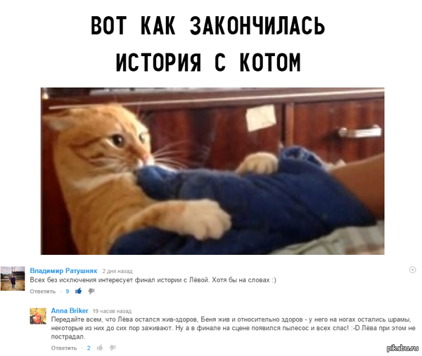       : <a href="http://pikabu.ru/story/spasaysya_begstvom_yeto_ochen_mstitelnyiy_kot_2970830">http://pikabu.ru/story/_2970830</a>