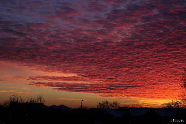 � ������� ������� �������� �����