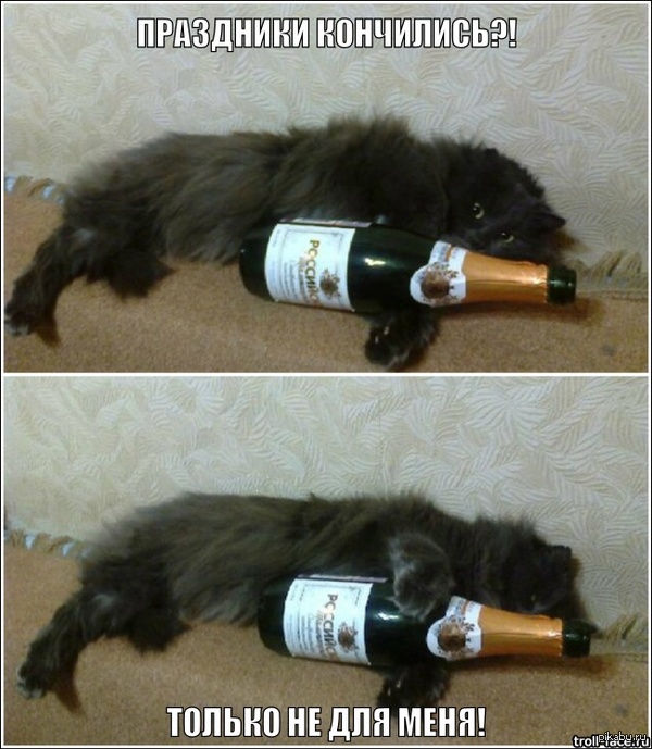 �� ��� ���� ��������� �����������...