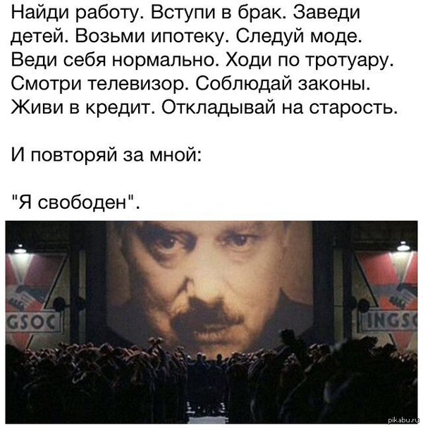 Круговорот жизни | Пикабу