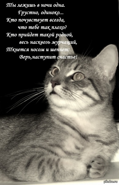 ����� �������� ������� ����...
