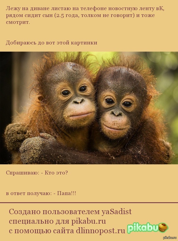 ������ ��������...