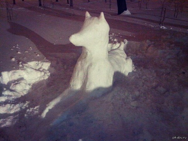 Snowdog 