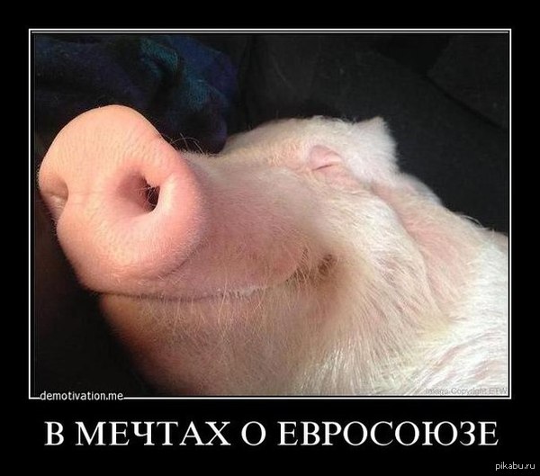 В мрiях