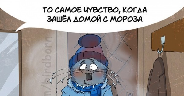 Заходи домой. 10 Причин любить зиму. Причины любить зиму. 10 Причин почему я люблю зиму. То самое чувство когда зашёл с Мороза.