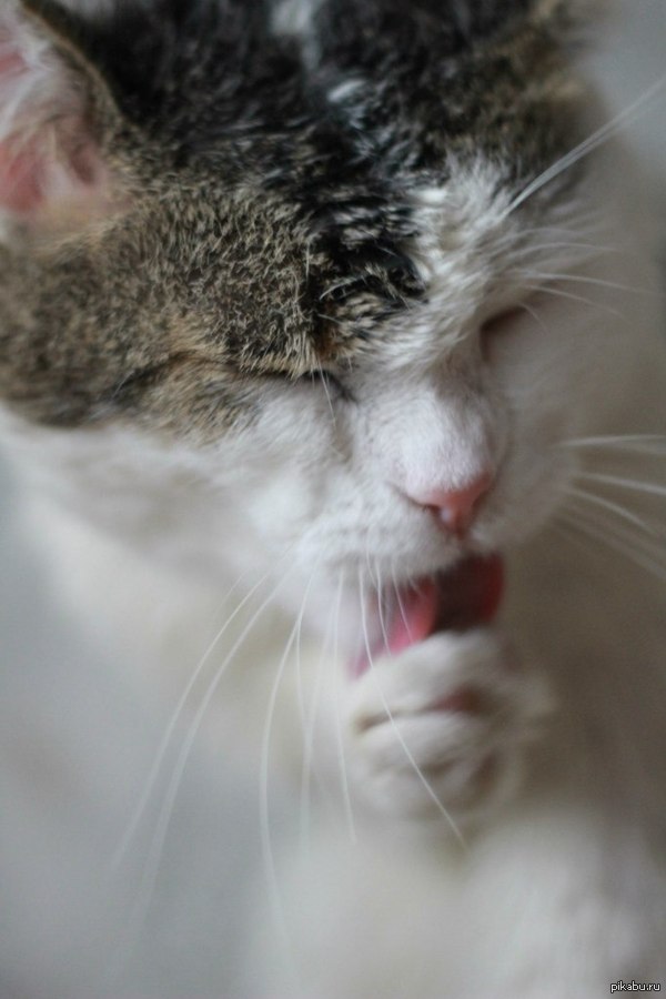 ������, ��� ��� ����� ����� � ����������: "������ ��� ����� �������".