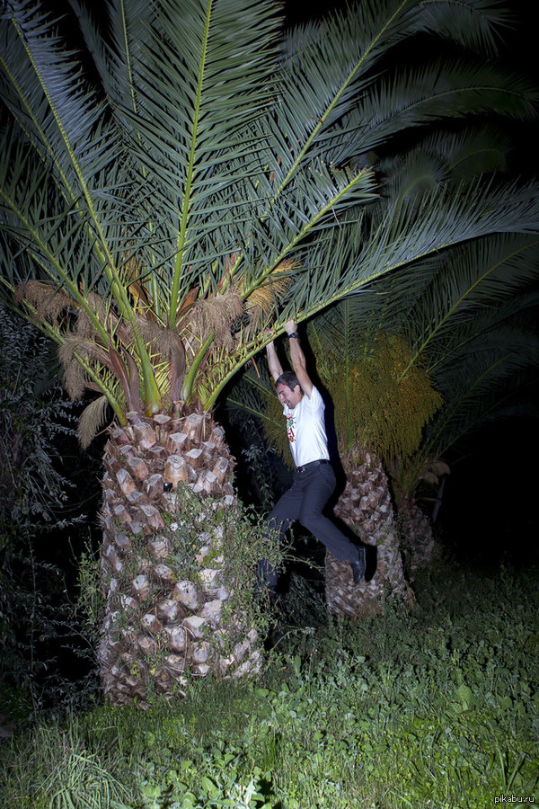 Руссо туристо