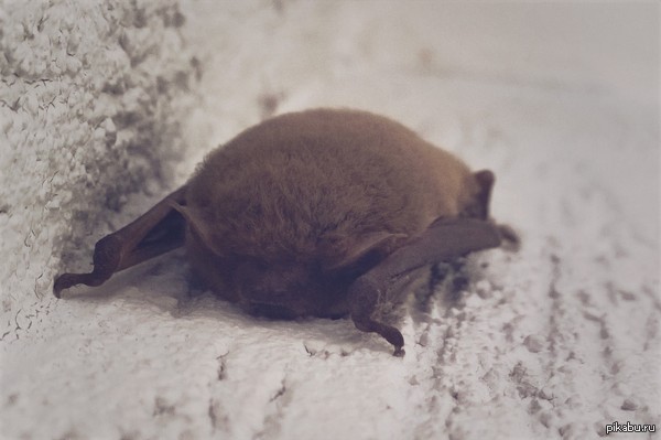 ��� ����� ����� ��������� � ���� �� ������.