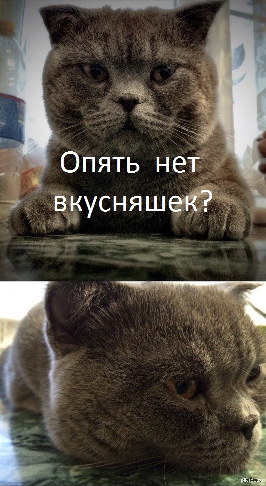 �������� �������