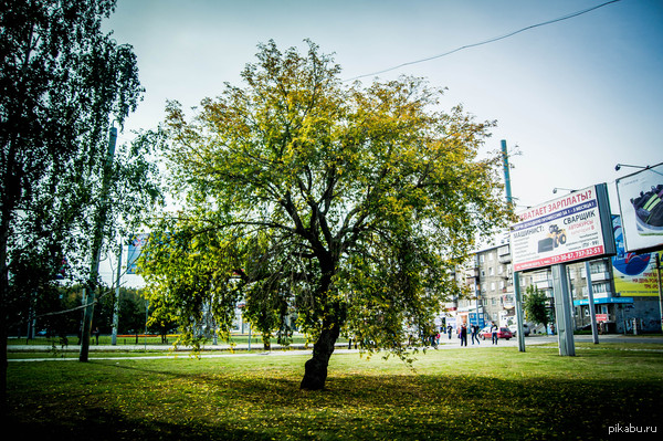 ����� ���